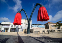 Гигантские цветы на площади Vallero в Иерусалиме | Vallero Square