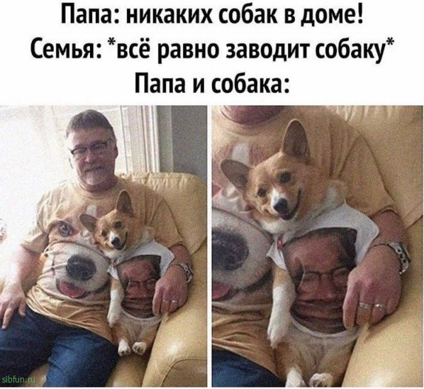 Нестандартный юмор :)