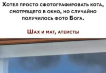 Немного картинок для настроения # 29.11.2020