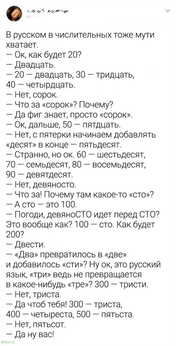 Немного юмора о русском языке # 06.11.2020