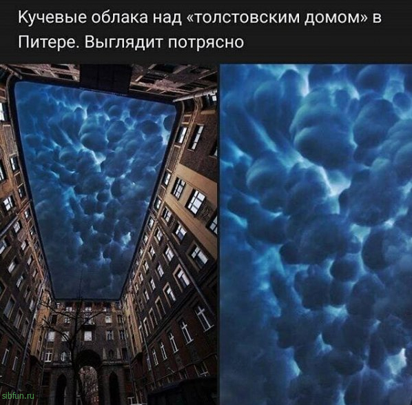 Фотки и картинки