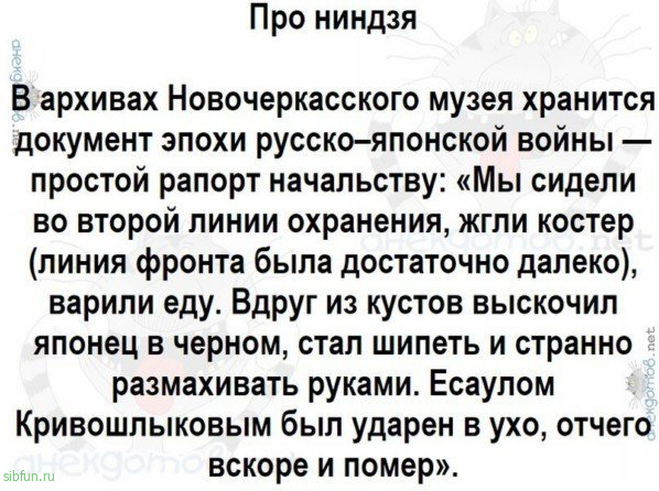 Прикольные и просто красивые картинки