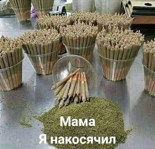 Прикольные и просто красивые картинки