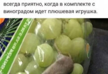 Немного картинок для настроения # 19.11.2020