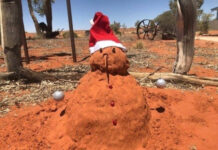 Прикольные картинки ))) # 29.11.2020