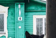 35 картинок разных # 07.11.2020