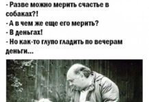 Немного картинок для настроения # 02.11.2020