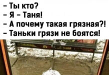 Немного картинок для настроения # 27.11.2020