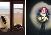 16 странных фото из серии «Что здесь происходит?» # 14.11.2020