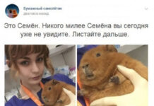 Немного картинок для настроения # 21.11.2020