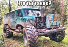 Прикольные и просто красивые картинки # 07.11.2020