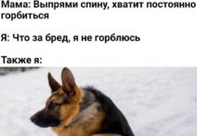 Нестандартный юмор :) # 21.11.2020