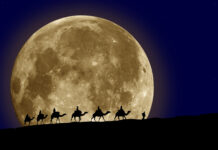 Почему в пустынях днём жарко, а ночью холодно — холод в пустыне