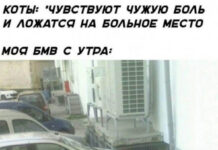 Немного картинок для настроения # 22.11.2020