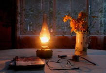 Прикольные и просто красивые картинки # 20.11.2020