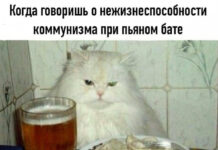 Нестандартный юмор :) # 02.11.2020