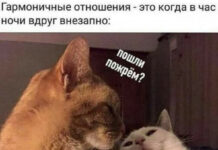 Боянистые картинки # 08.12.2020