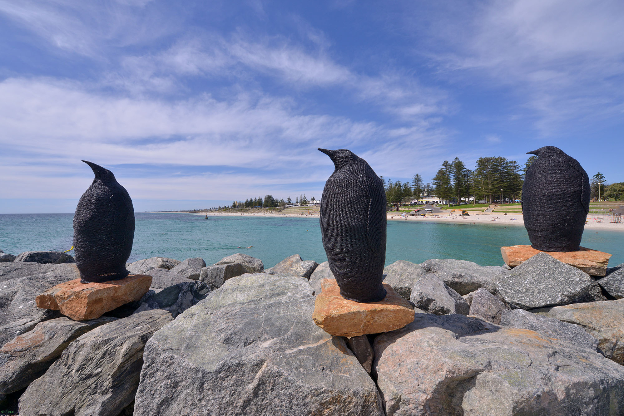 Фестиваль «Скульптура у моря» 2020 (Sculpture by the Sea) | Фестивали Австралии