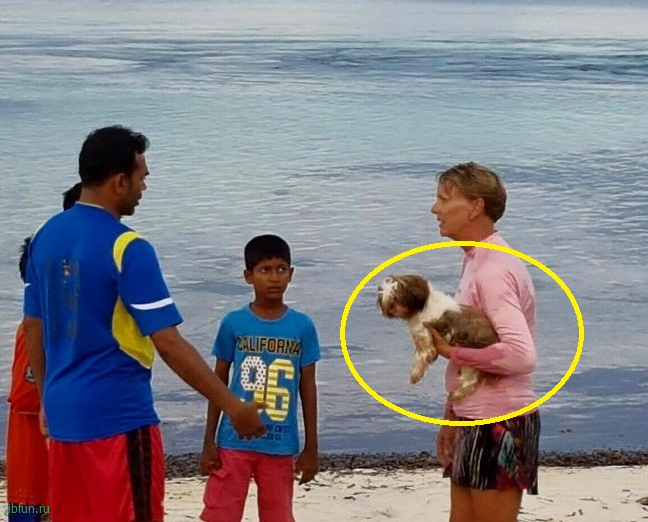 А вы знали что на Мальдивах запрещены собаки? | Почему на Мальдивах нет собак