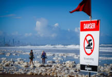 Чем опасная пена на пляжах Австралии — что она таит? | Змеи на пляжах