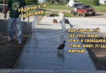 Баянисто-небаянистый юмор # 03.12.2020