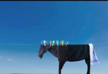 Дурацкие картинки # 16.12.2020