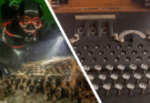 На дне Балтийского моря нашли редкую шифровальную машину нацистов, которую всеми силам старались уничтожить