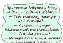 Боянистые картинки # 22.12.2020