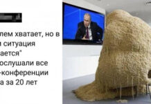 Пресс-конференция Путина в мемах и фотожабах: лучшее # 20.12.2020