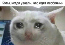 Нестандартный юмор :) # 26.12.2020