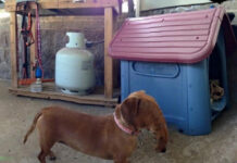 Панорамные фото, в которых что-то пошло не так # 04.12.2020