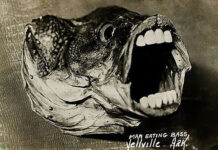 Смешной и странный фотомонтаж из начала XX века # 19.01.2021