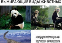 Мемы и картинки для пенсионеров # 02.01.2021