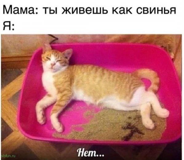 Нестандартный юмор :)