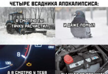 50 картинок # 17.02.2021
