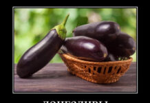 Нестандартный юмор :) # 25.02.2021