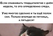 Весёлые картинки # 09.03.2021