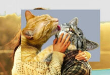 Разносол из картинок # 19.03.2021