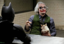 Забавные фотожабы от казанского иллюстратора Klod Mande # 04.03.2021