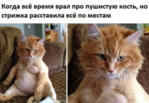 Так себе картинки # 26.03.2021