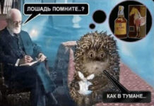 Прикольные и просто красивые картинки # 12.03.2021