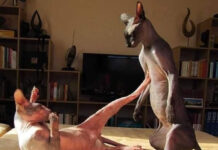 Разные картинки # 02.03.2021