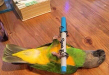 Так себе картинки # 26.03.2021