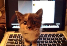 Так себе картинки # 09.03.2021