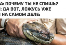 Немного слегка пошлых картинок с надписями и без # 31.03.2021