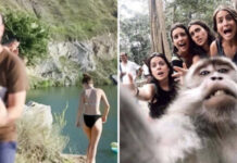 15 неподражаемых фотографий, где всё дело в эффектном фоне # 21.03.2021