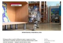 Смешные комментарии и картинки из соцсетей # 21.03.2021