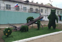 Так себе картинки # 03.03.2021