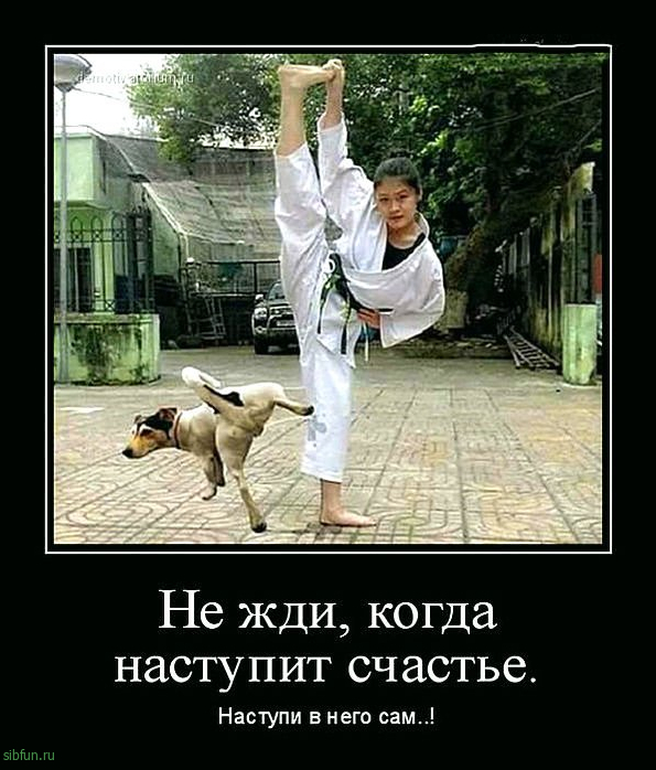 Всякие картинки