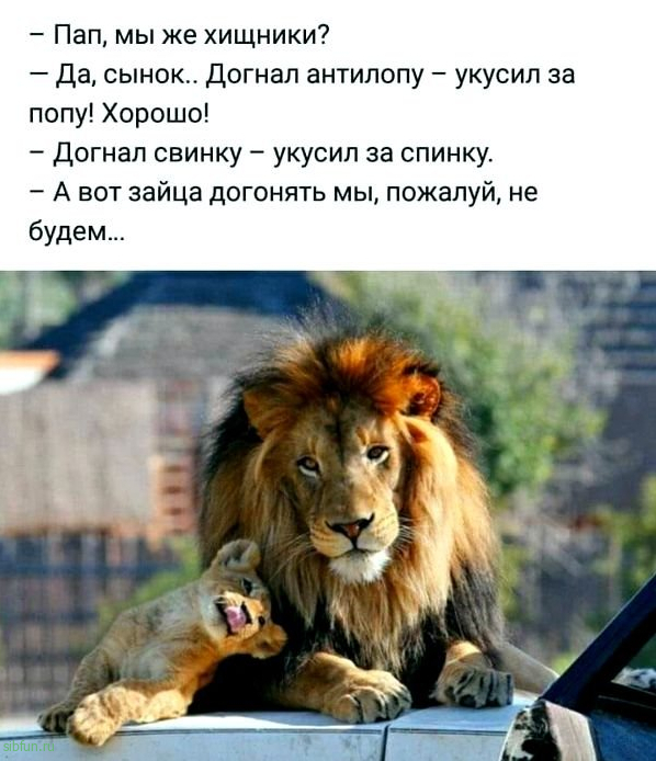 Всякие картинки